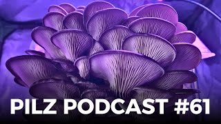 Pilz Podcast 61 mit drrattenkaiser5275 amp derpilzfluesterer [upl. by Martino]