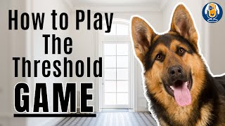 Threshold Game For Dogs Step By Step Training Plan So You Become Your Dogs Center Of Attention [upl. by Eerot686]