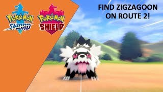 HOW TO GET Zigzagoon  Pokemon Sword and Shield [upl. by Thirzi]