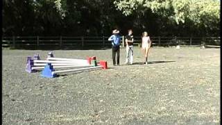 Pro Tips for Cavaletti Training – How to Space Cavaletti Horse Jumps [upl. by Affra]