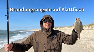 Hvide Sande 2022 Heringsfestival  Plattfische am Strand 3 [upl. by Akehsat]