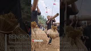 Ritual adat suku sunda membawa padi Rengkong shortvideo [upl. by Etteinotna]