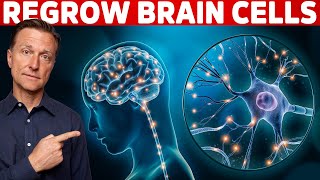 Renew amp Protect Your Brain Cells  Brain Derived Neurotrophic Factor – Dr Berg [upl. by Bazluke]