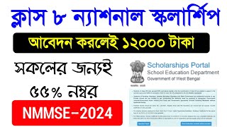 class 8 National scholarship 2024 🔥 NMMSE Scholarship Class 8 2024 📝Class 8 Scholarship Information [upl. by Asirral]