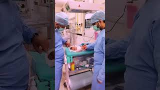 Mini Vlog Dr Amir 2  Kahani ek Bacchi ki Dr Amir AlimS shorts viralvideo minivlog [upl. by Jr]