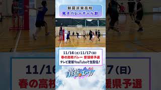 春高バレー2024意気込み動画 [upl. by Anewor]