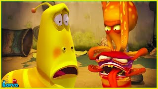 Larva Tuba 2025  Larva Adventures  Funniest Moments You Cant Miss [upl. by Najtsirk]