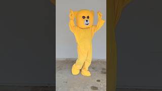 🤩 Jolly dance with teddy  crazy teddy 😻 balle shorts teddycomedy funnyshorts teddy [upl. by Ahseneuq809]