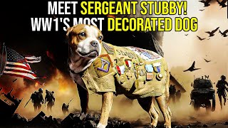 Sergeant Stubby  The Incredible Story of a Canine Hero [upl. by Dilaw173]