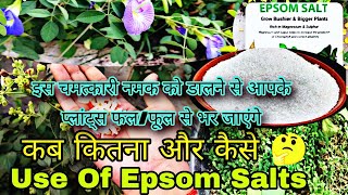 चमत्कारी नमक Epsom salt के बारे में सम्पूर्ण जानकारीEpsom Salt On Plant How To Useepsomsaltgarden [upl. by Tonie]