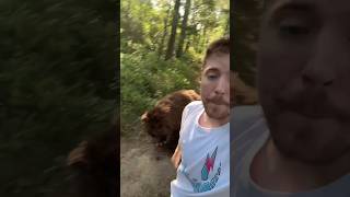 animal attack on forest mrbeast viralvideo [upl. by Larentia]