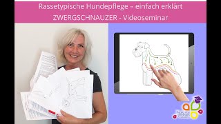 Zwergschnauzer  einfach erklärt  Videoseminar Teaser [upl. by Allerym]