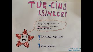 1Sınıf Türkçe CinsTür İsimler Konu Anlatımı [upl. by Milford]