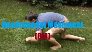 Quadrupedal Movement QM Tutorial [upl. by Hazeefah]