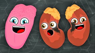 Kidneys and Tongues Everyone  KLT Anatomy [upl. by Forest]