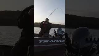 One of those days fishing pikefishing verticalvideo [upl. by Sale]