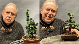 How to Create a Shohin Bonsai [upl. by Ergener97]