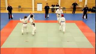 1 Aikido Goshin No Kata  Shodokan Open July 2012 [upl. by Paddie115]