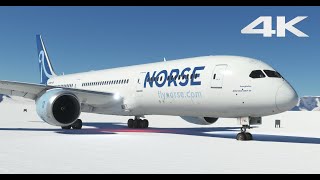 Norse Atlantic Boeing 787 Dreamliner Landing in Antarctica  Microsoft Flight Simulator MSFS 4K [upl. by Hales]