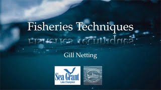 Fisheries Techniques  Gill Netting [upl. by Eneloj203]