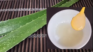 Homemade Aloe Vera gel using Xanthan gum  Aloe vera gel for skin and hair [upl. by Didier]