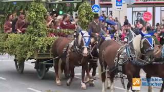 Der Trachten und Schützenzug 2017 [upl. by Griswold]