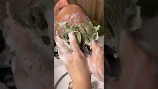 Relaxing Face amp Head Massage with Hair Wash  Spa Therapy relaxingmassage sparelaxation asmrspa [upl. by Omora]