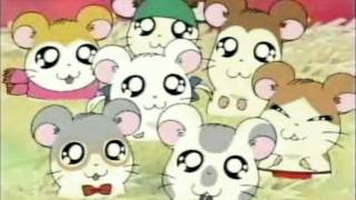 Hamtaro Japanese OP [upl. by Odragde]