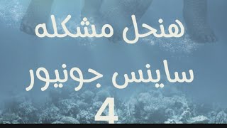 ما تقلقيش من ساينس جونيور 4 هنحل كل مشاكل اولياء الامور في ماده الساينس تابعونا [upl. by Thekla105]