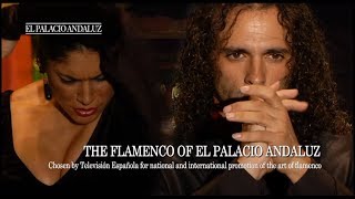 Flamenco Show  Tablao Flamenco El Palacio Andaluz [upl. by Peregrine]