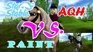 SSO American Paint Horse VS Quarter Horse ✨ [upl. by Ardnuasac]