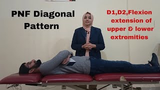 PNF diagonal pattern Part 3 D1 and D2 flexion and extension of upper and lower extremity [upl. by Carmena]