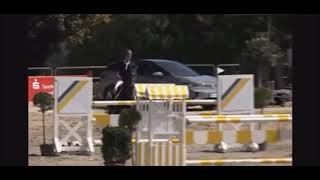 Komet  Jumper  Ephebe for Ever  2015  Gelding [upl. by Leonardi]