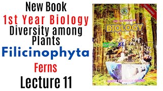 Filicinophyta Pterophyta ferns  Diversity among plants  class 11 biology sindh board new book [upl. by Merrick]