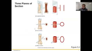 Human Tissues [upl. by Pooh]