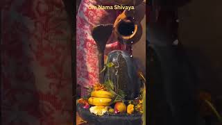 Sivalinga Poojashiva whatsappstatus devotional shivastatus gods hindugods shorts arunachalam [upl. by Feola]