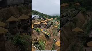 Chinas amazing method of poultry farming 😯 animals [upl. by Humfrey]