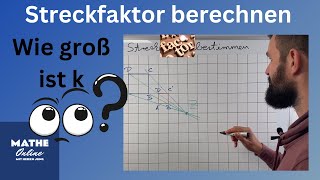 Steckfaktor berechnen  zentrische Streckung [upl. by Winnah895]