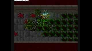 Tibia Isara  The Ape City Quest  Banuta Quest  Mission 9 The Deepest Catacombs [upl. by Sitof]