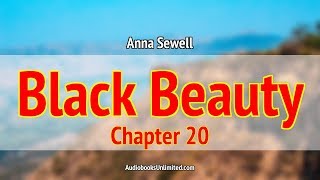 Black Beauty Audiobook Chapter 20 [upl. by Einnaf]