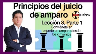 PRINCIPIOS DEL JUICIO DE AMPARO Lección 3 parte 1 Experto en amparo desde los cimientos [upl. by Patton]