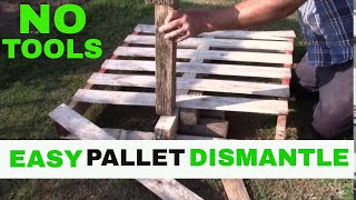 How to take apart a pallet without breaking the boards  Disassemble a Pallet  Gardening Online [upl. by Ohnuj777]