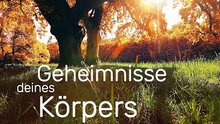 Die Geheimnisse deines Körpers  Was du suchst liegt in dir Entdecke deine verborgenen Kräfte [upl. by Niotna]