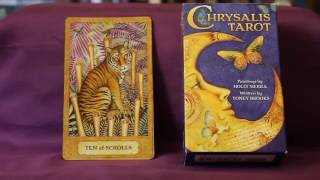 Chrysalis Tarot Full Flip Through [upl. by Ahsienet]