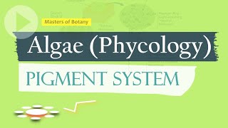 Pigment System  Algae Phycology [upl. by Demmahom]