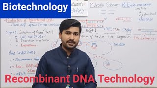 Biotechnology  biotechnology processes and principles Recombinant DNA technology  Biology class 12 [upl. by Tanya537]