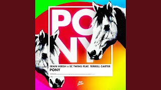 Pony [upl. by Ycal]