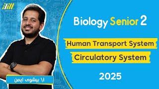 biology  senior 2 first term 2025  transport in human  Circulatory System  bishoy ayman [upl. by Nomyad]