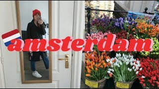 2 Days in Amsterdam  cari cakes in The Netherlands VLOG [upl. by Trinidad603]