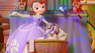 Sofia the first Blue Ribbon Bunny Japanese version [upl. by Rocca]